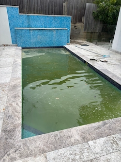 Green pool recovery service Sydney